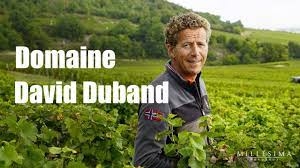 Domaine David Duband